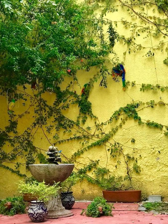 Hostal Tlaquepaque Exteriér fotografie